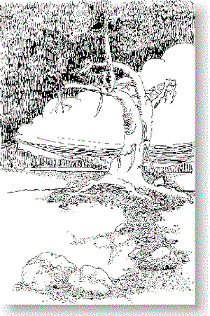 tree2d.gif (8099 bytes)